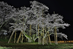 雨の合間の薄墨