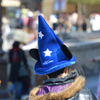 ファンタジア