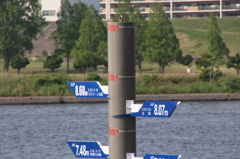 2039_300mm