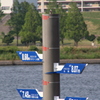 2039_300mm
