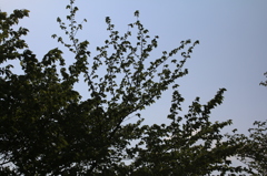 2034_逆光f4.5