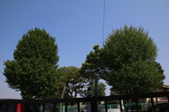 2012_16mm