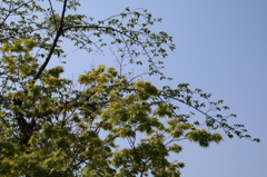 2007_f13