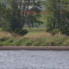 2030_300mm