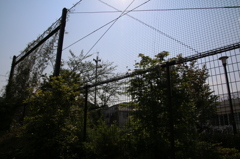 逆光F13_2008