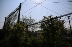 逆行F3.5_2009