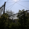 逆行F3.5_2009