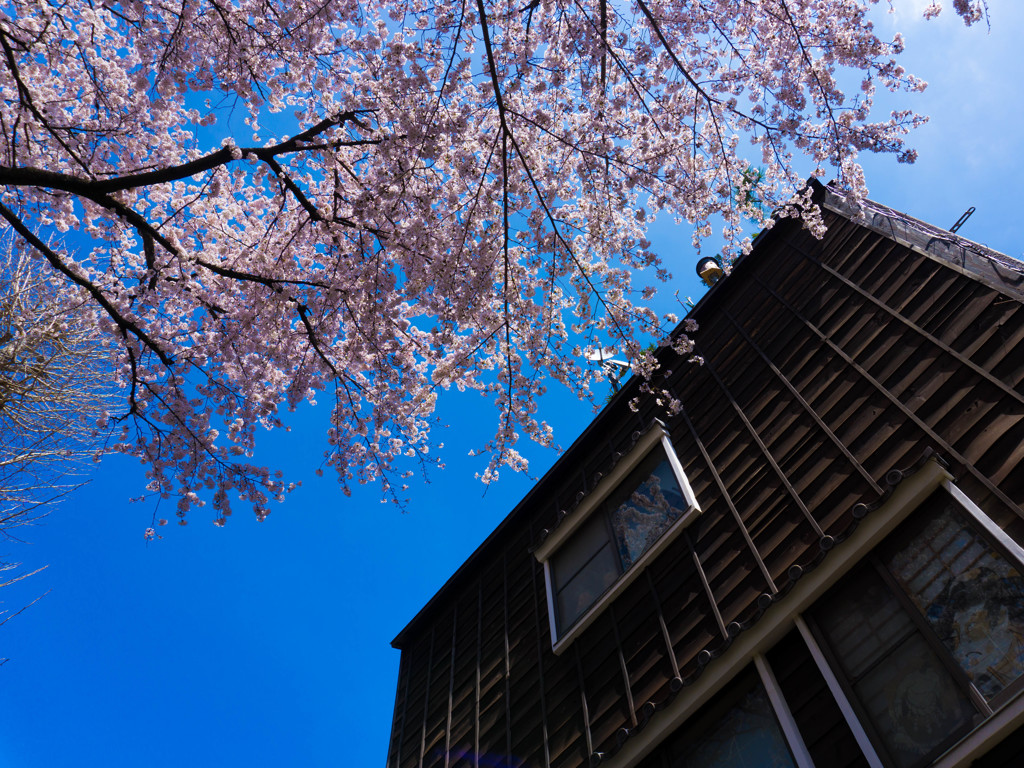 20150402-DSC03929