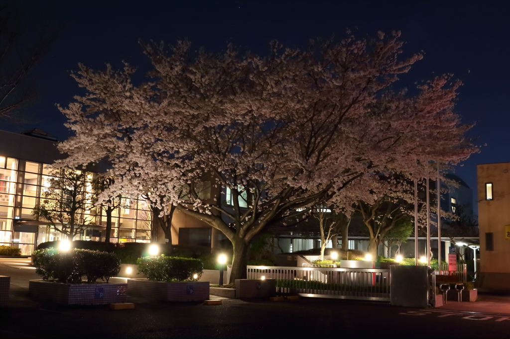 夜の公民館