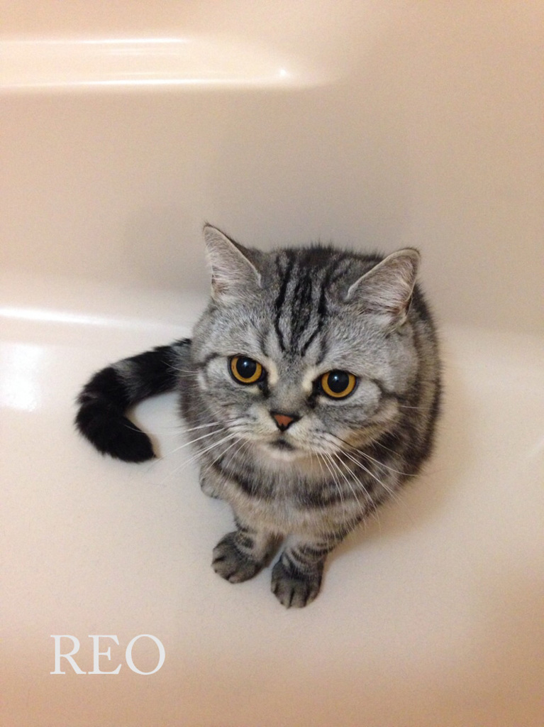 お気に入りの場所