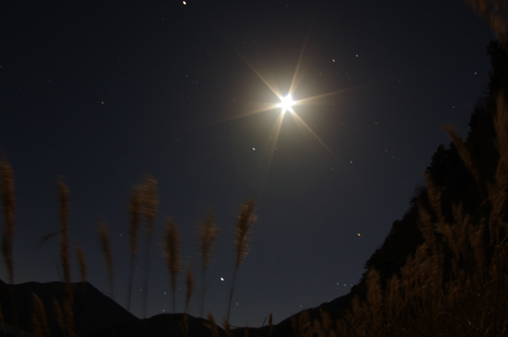 STARS