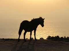 都井岬の夕日