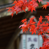 地味ですが...