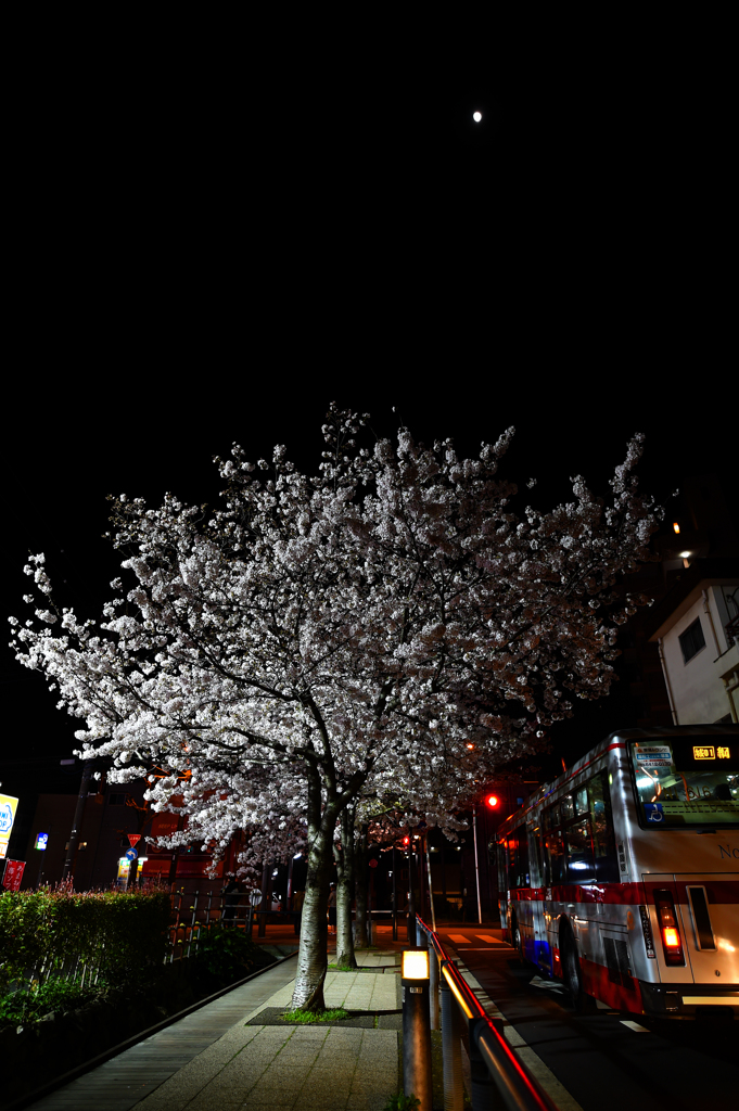 月に叢雲花に風