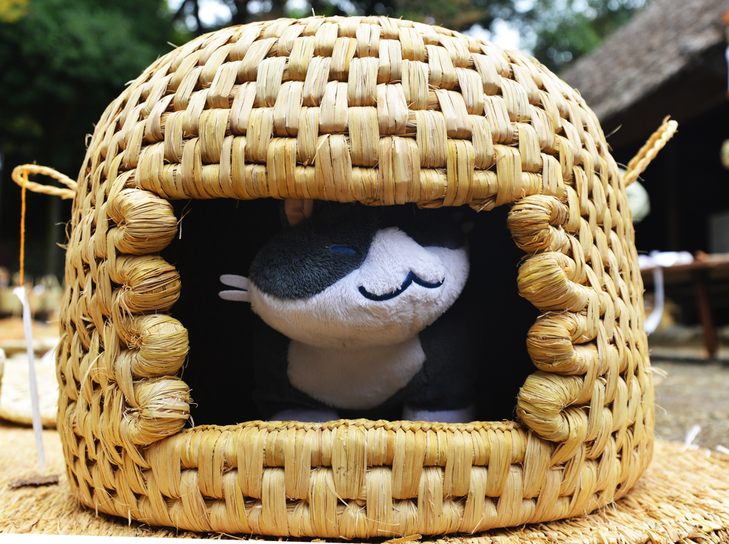ねこハウス