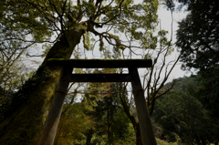 よ・う・こ・そ