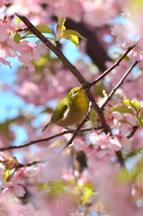 ひとやすみ。