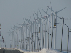 北の風力発電所