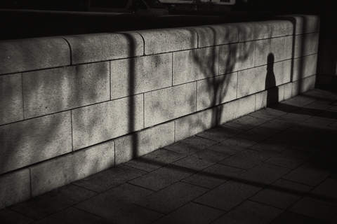 Shadows on the … #1