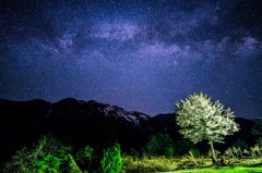 桜と八海山と星空