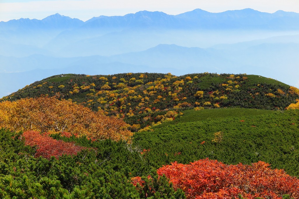 紅葉遠望