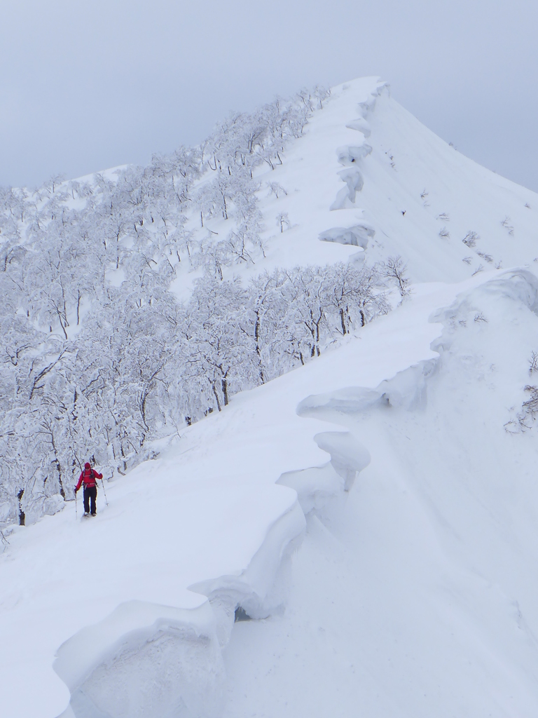 長大な雪庇を行く