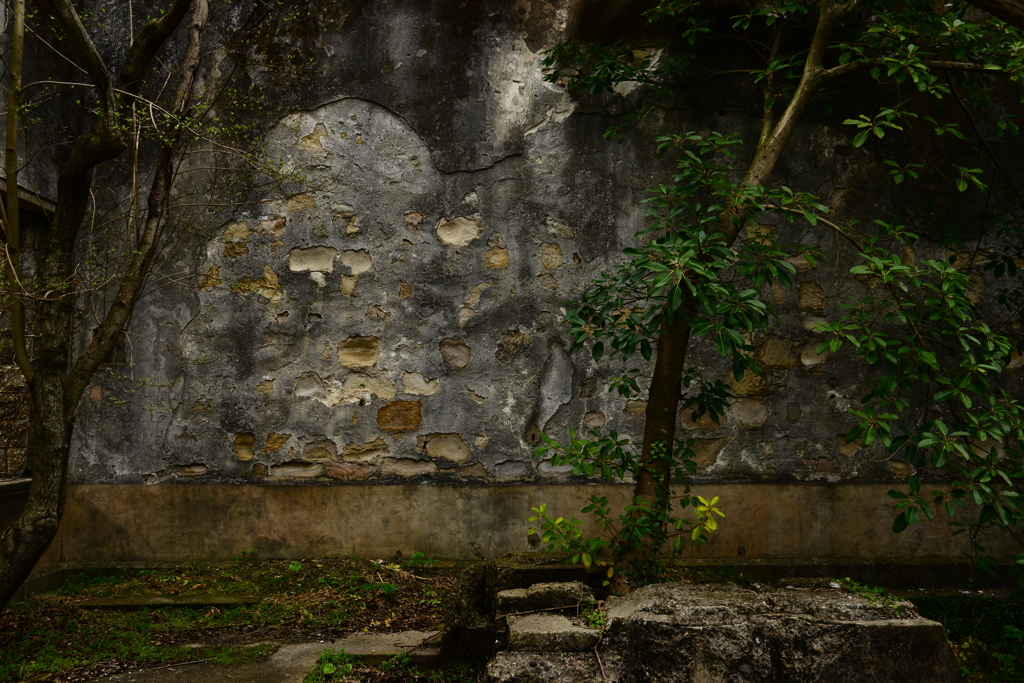 the garden2