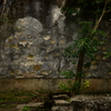 the garden2