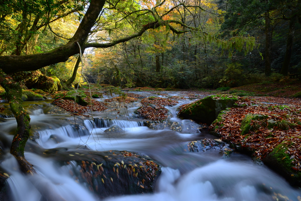 late autumn 