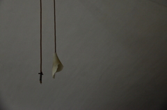 flower lamp1