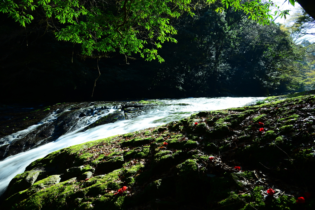 kikuchi ravine1