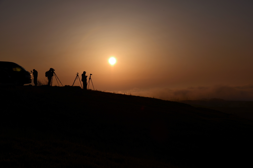 silhouette
