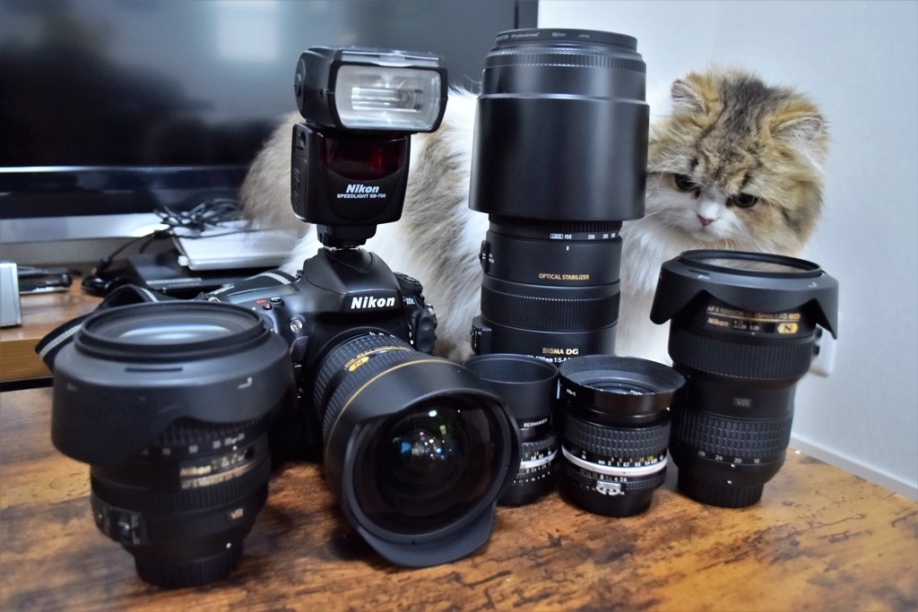 AF-S NIKKOR 14-24mm f/2.8G ED