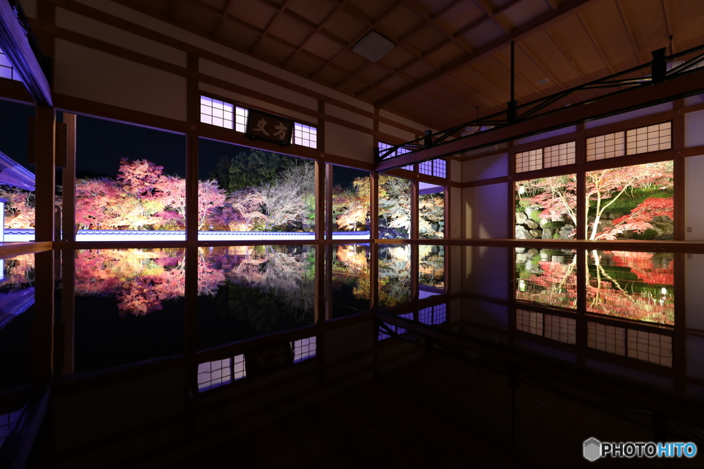 宝徳寺　床もみじ