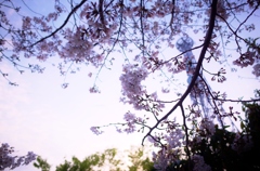 春