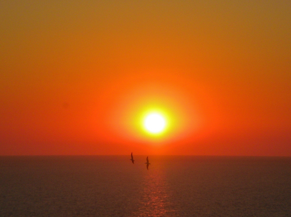 太陽の「あばよ」