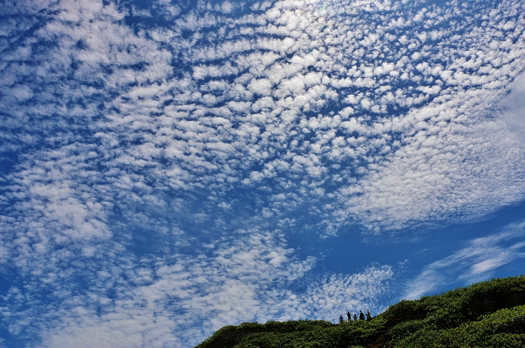 空を飛ぶ羊