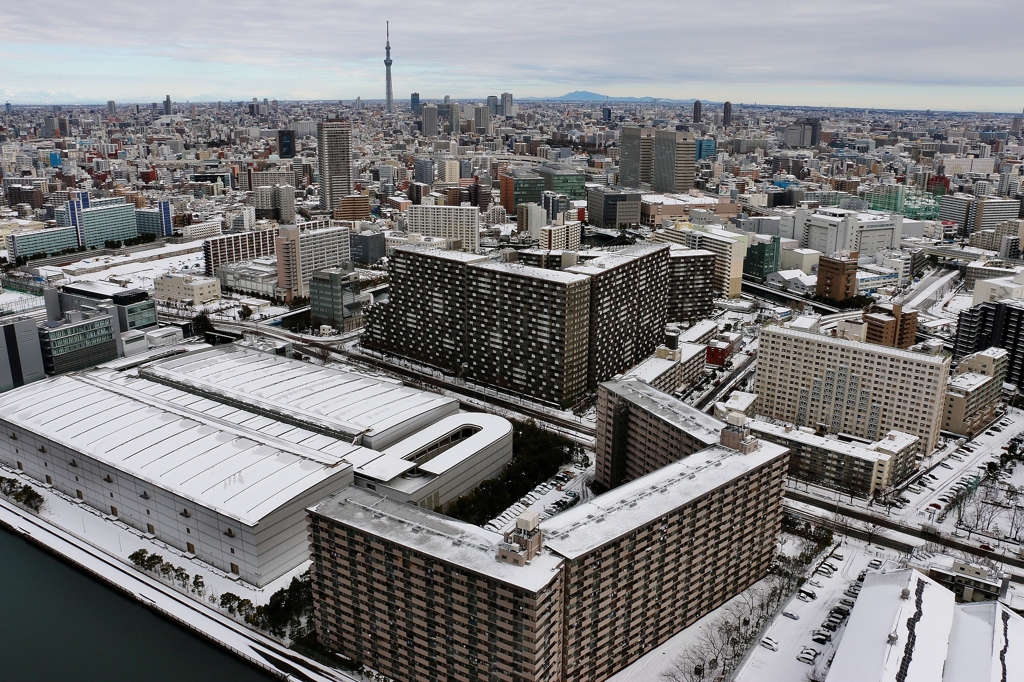 北国の東京