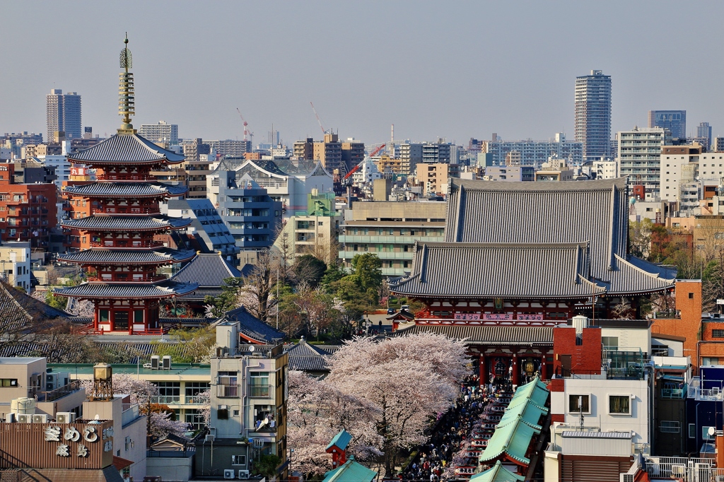 古寺の新しい季節