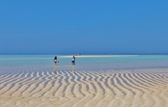 与論島：　島渡り