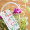 お目覚めの朝の顔