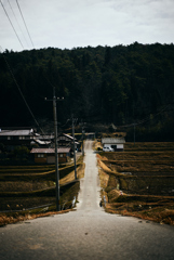 通い道