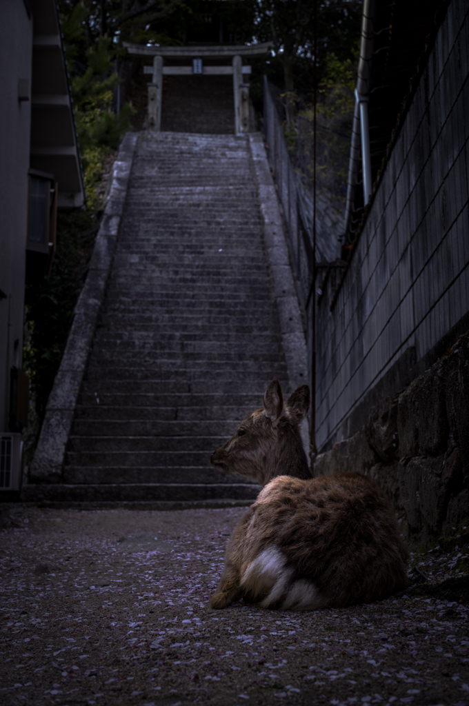 佇まい