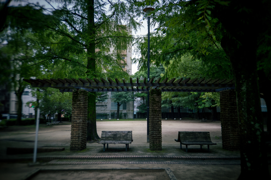 雨上がりの公園