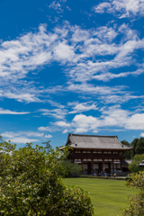 夏の東大寺