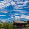 夏の東大寺