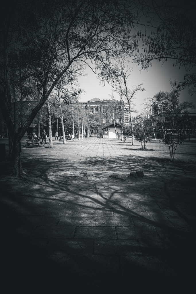 nontitle