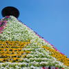 Hiroshima Flower Festival②