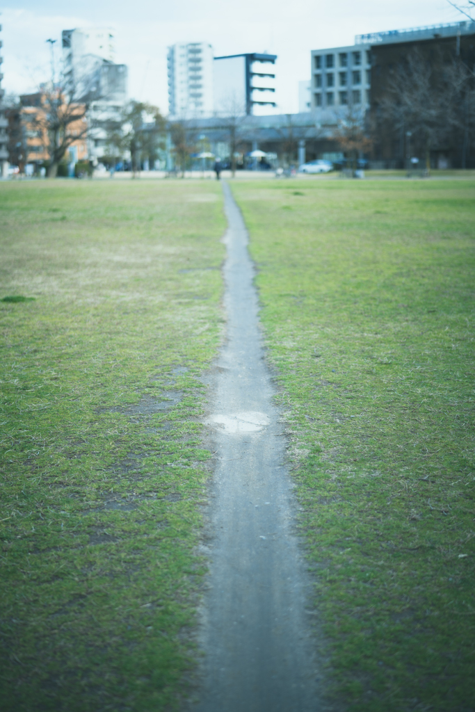 平日の公園と光と生命