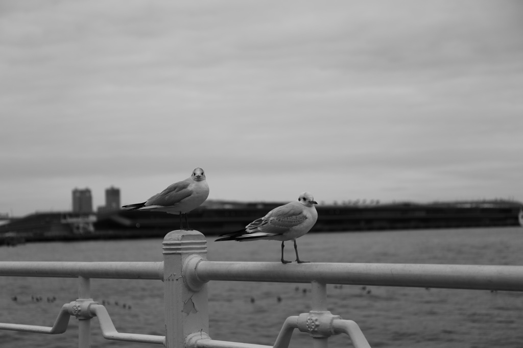 私ですか・・・？